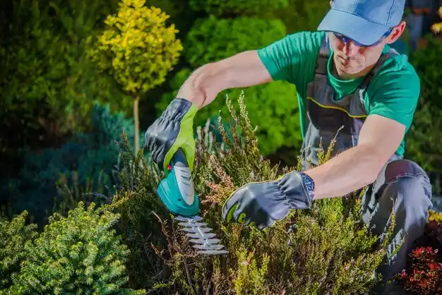 landscaping services Naylor